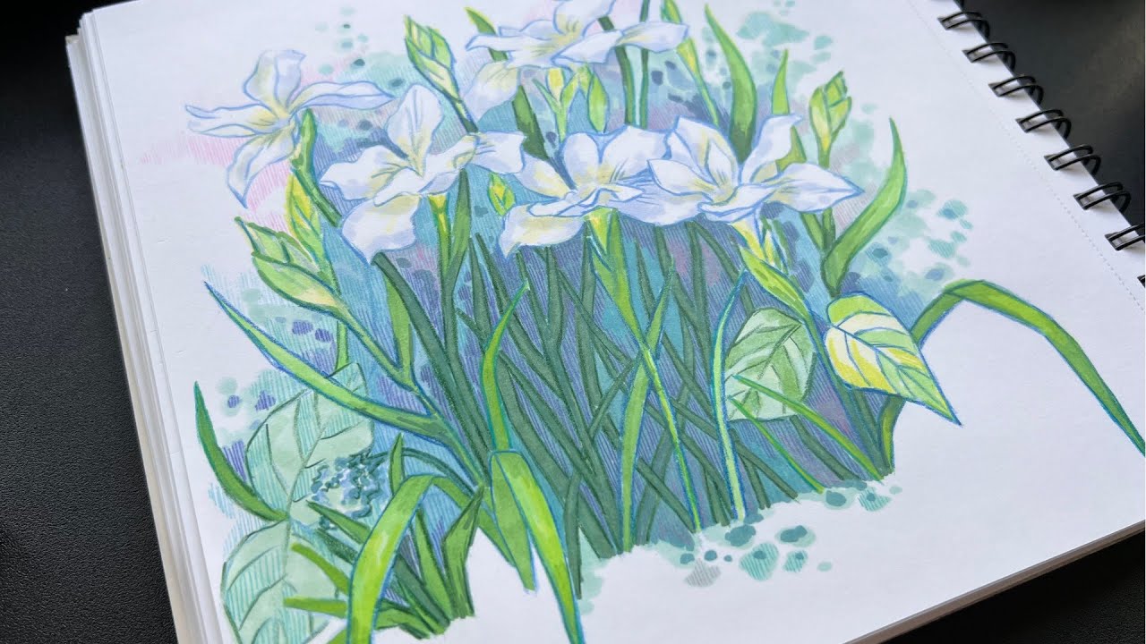 Spring flowers sketch with alcohol markers and coloured pencils - YouTube