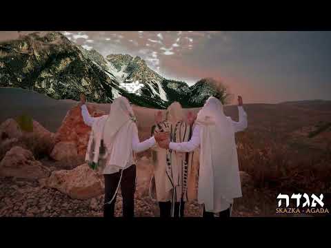 ראובן דרויס המלך בשדה Reuven Dervis 