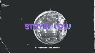 Stayin' Low - DJ HAMPSTER DANCE REMIX Resimi