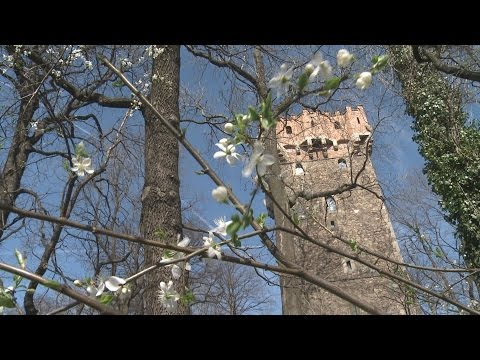 Cieszyn: wiosna na wzgórzu zamkowym