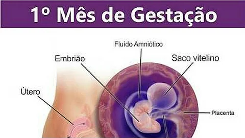 O que vê um bebê de 2 semanas?