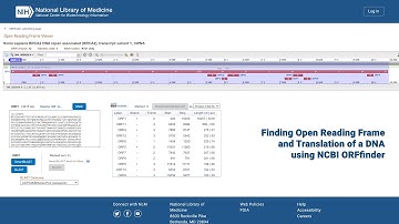Finding Open Reading Frame and Translation of a DNA using ORFfinder #bioinformatics #dna #protein