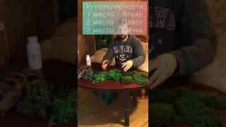 Мастер-класс по созданию картин из стабилизированного мха