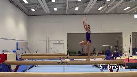 5  þrep   forsamdar hreyfingar á slá