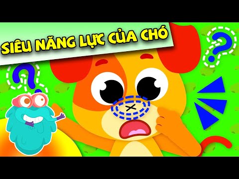 Năng lực đặc biệt của loài chó - Hoạt hình khám phá khoa học