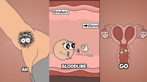 Your Organs Are Doing Things You Won