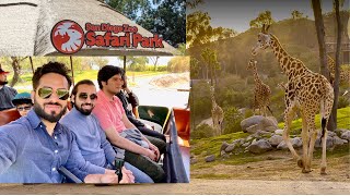 San Diego Zoo Safari Park 2023: Top Tips, Park Tour & Animal Guide