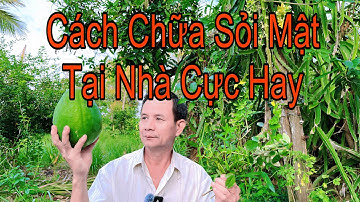 Ai Bị Sỏi Mật, Sỏi Thận Hãy Tìm Ngay 4 Bài Thuốc Này Rất Hiệu Quả Ít Tốn Kém 