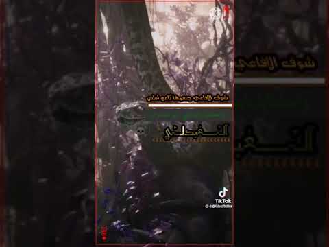 اقوى قصيده شوف الافاعي جسمها ناعم