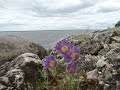 Географическая экспедиция Дивногорск-Туруханск-Хатанга (3 серия)