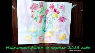 Избранные фото за апрель 2023 года