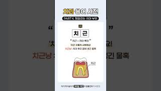 같은 듯 다른 치과용어사전 치아부위 편! 치은? 치수? 치근? 치조골?!🧐
