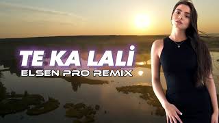 Elsen Pro - Te Ka Lali (Remix)