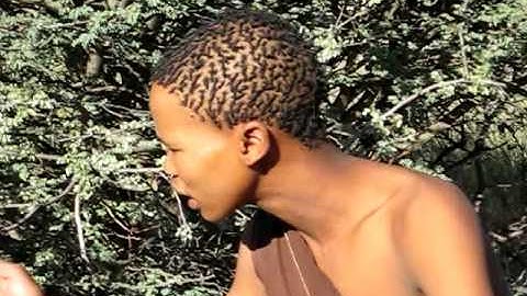 Namibian Bushman talking / Namibia 2008