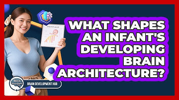 What Shapes An Infant