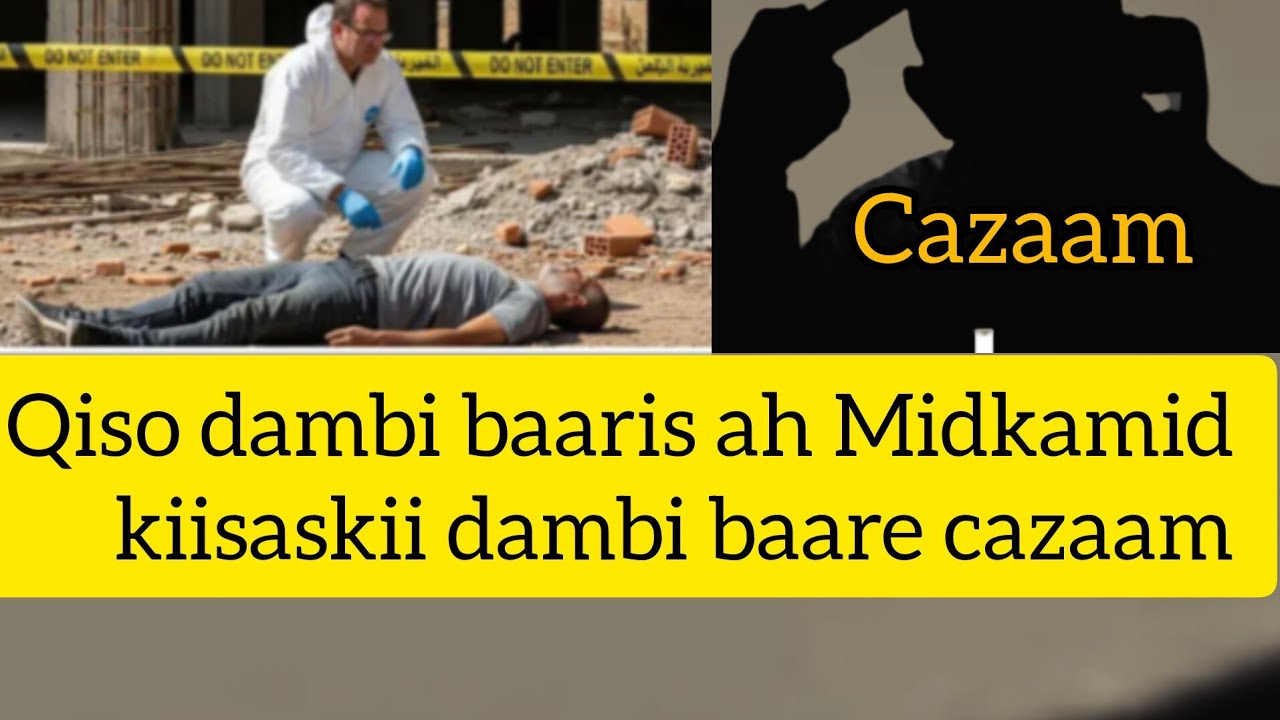 Qiso dambi baaris ah Mid kamida kiisaskii dambi baare cazaam hafsabilanchannel