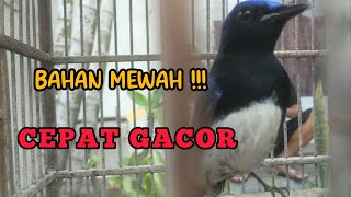 Characteristics Of Sea Distillate A Prospective Material For Fast Gacor