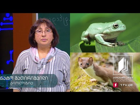 ბიოლოგია, IX კლასი - ევოლუცია: ადაპტაცია, შეგუებულობა #ტელესკოლა