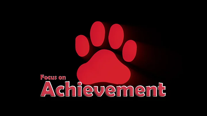 Focus on Achievement - Barron