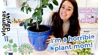 Nursing my plants back to health + cooking healthy banana muffins! (Vlogmas Day 4) by Taralynn McNitt 2,031 views 3 years ago 39 minutes