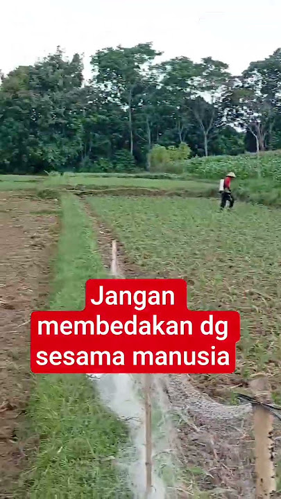 falsafah jawa #falsafahjawa