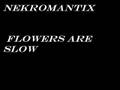 Nekromantix - Flowers are slow