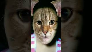 Já Tomou Banho Hoje?