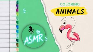 Flamingo ASMR Coloring | Marker Sounds | No Talking | Relaxing Coloring