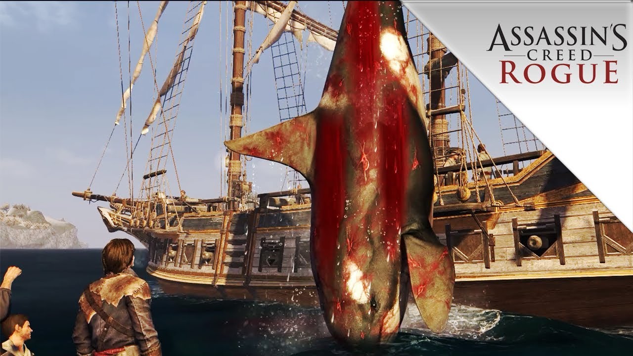 ASSASSIN'S CREED ROGUE #3 - CAÇANDO A ORCA! - YouTube