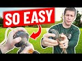 How to Change a String Trimmer, Weed Eater, Weed Whacker Head