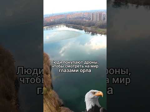 Норм как муха летаю? ☺ #fpv #фпв #dji #avata #djiavata #drone