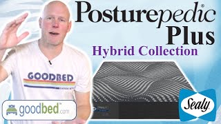 Sealy Posturepedic Plus Hybrid 2023 Mattress Collection EXPLAINED by GoodBed.com
