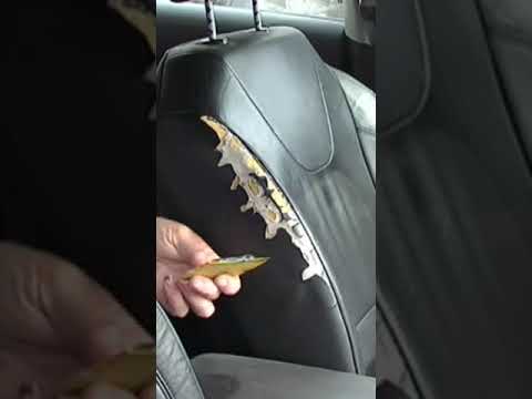 Seat Repair Cost