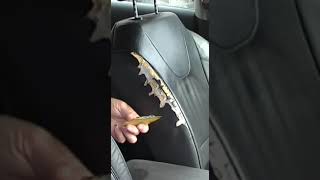 Repair Leather Seat / Cheap & Easy / part 1              #automobile #leatherrepair #diy #hacks
