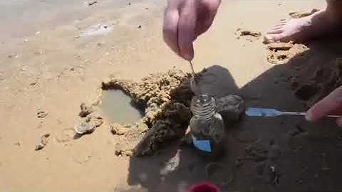 Sediment sampling in the Ria Formosa Natural Park for microplastic analysis
