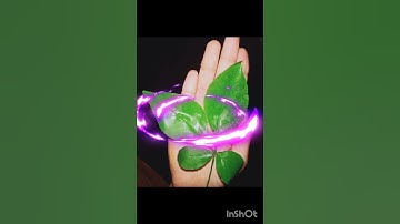 5 सोमवार का विशेष उपाय एक दूर्वा और एक बेलपत्र महादेव को समर्पित करे #pradeepmishrajidhankeupa #upay