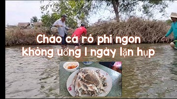 Cháo cá rô phi ngon - không uổng công 1 ngày lặn hụp