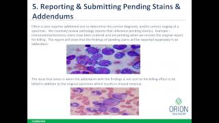 Common Mistakes Pathologists Make and How to Avoid Them