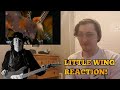 Musician REACTS to STEVIE RAY VAUGHAN - LITTLE WING