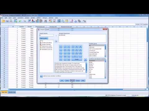 Inserting a Participant ID Number Variable in SPSS