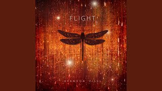 Dragonfly - The Mission