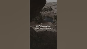 سورة النحل 🤍 #سورة_النحل #قران_كريم #surahalnahl #تلاوة_خاشعة #مقاطع_قرآن