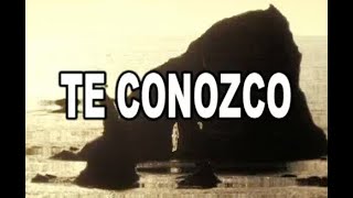 Te Conozco - Galileo Y Su Banda Al Estilo De Hector Lavoe - Karaoke