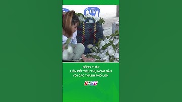 Đồng Tháp liên kết tiêu thụ nông sản với các thành phố lớn #nongnghiepmientay