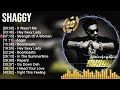 Shaggy Greatest Hits ~ Best Songs Of 80s 90s Old Music Hits Collection