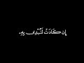 وأوحينا إلى أم موسى أن أرضعيه كرومات قرآن بدون ترجمة ياسر الدوسري سورة القصص