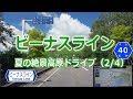 白樺湖 → 車山高原 → 車山肩 → 霧ヶ峰 / ビーナスライン 夏の絶景高原ドライブ 2/4 （長野県道40号）ナビ画4K ♯171