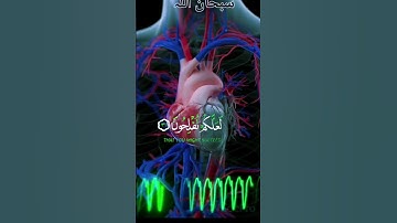 وتوبوا إلى الله جميعا ايها المؤمنون لعلكم تفلحون #سعد_الغامدي #سورة_النور        #قرآن #استغفر_الله