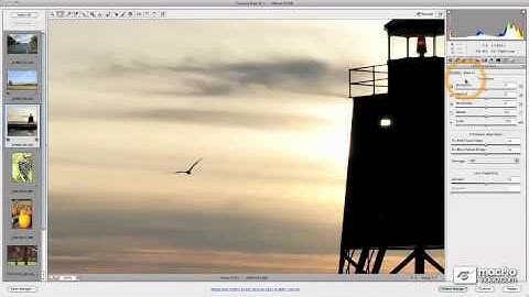Photoshop CS5 104: Mastering Adobe Camera Raw 6 - 3 Overview: Image Corrections