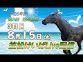 笠松けいばライブ配信R6.08.15
